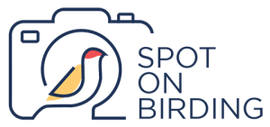 Logo Spot On Birding